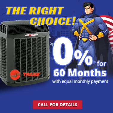 The Right Choice The Right Choice